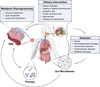 palvelumme urheiluseurat